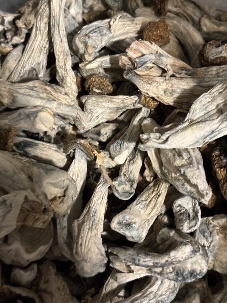 Magic mushroom dispensary Las Vegas